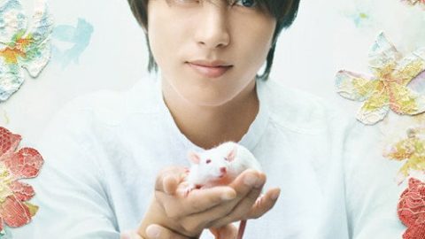 dsj3_献给阿尔吉侬的花束_poster.jpg