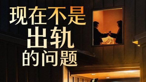 dsj3_现在不是出轨的问题_poster.jpg