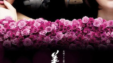 dsj3_美人圈套残花缭乱_poster.jpg