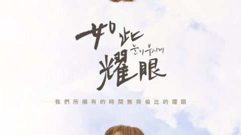 dsj3_耀眼_poster.jpg