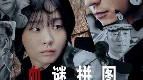 dsj3_血谜拼图_poster.jpg