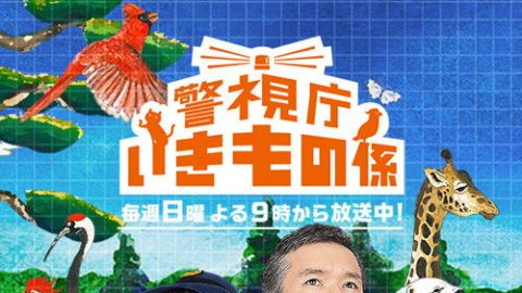 dsj3_警视厅生物系_poster.jpg