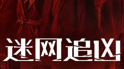 dsj3_迷网追凶_poster.jpg