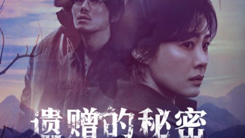 dsj3_遗赠的秘密_poster.jpg