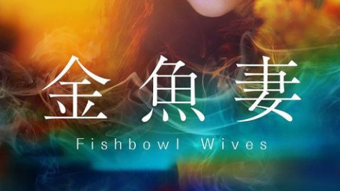 dsj3_金鱼妻_poster.jpg