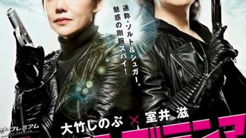 dsj3_钢铁大妈_poster.jpg