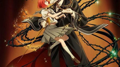 dsj3_魔法使的新娘_poster.jpg