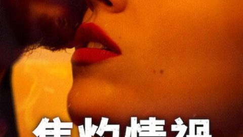 dsj4_爱恨焚身_poster.jpg