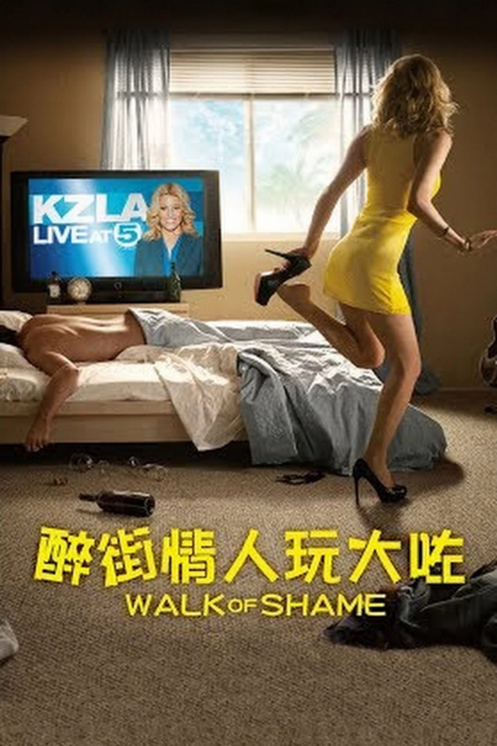 fb09baef703bd0c6_poster.jpg