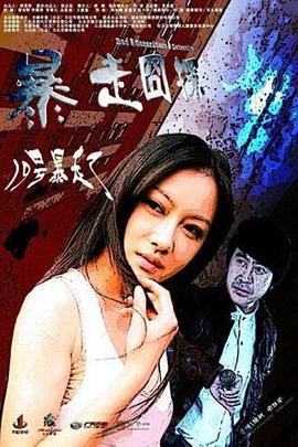 暴走囧探_poster.jpg