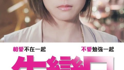 L for Love, L for Lies Too 官方海报