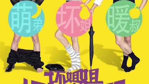 坏姐姐之拆婚联盟 官方海报
