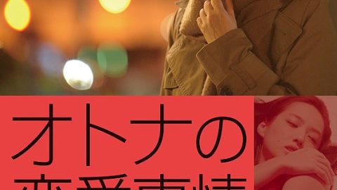 成年人的爱情故事 官方海报