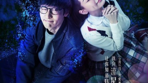 星语心愿之再爱 官方海报