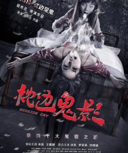 枕边诡影 官方海报