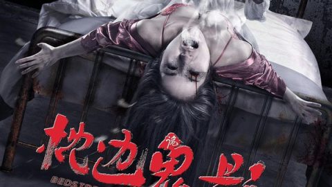 枕边诡影 官方海报
