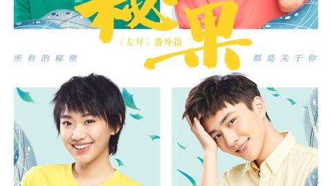 秘果 官方海报