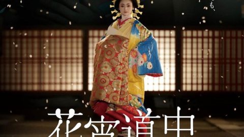 花宵道中 官方海报