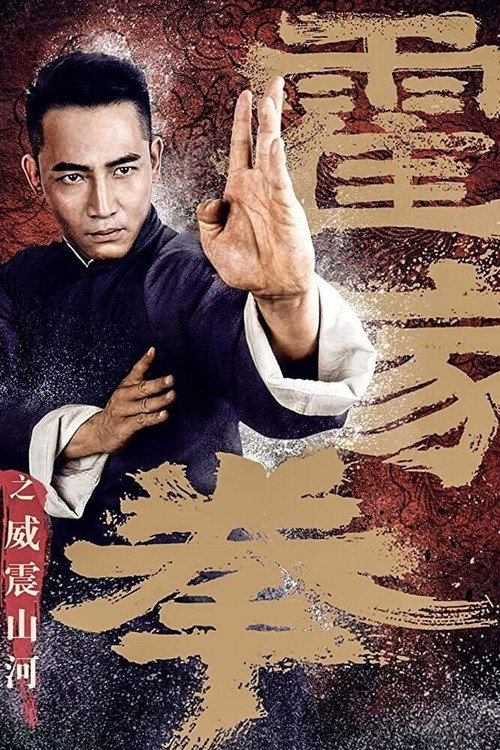 霍家拳之威震山河 高清海报