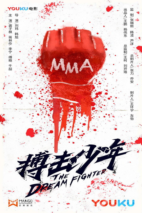 搏击少年 高清海报