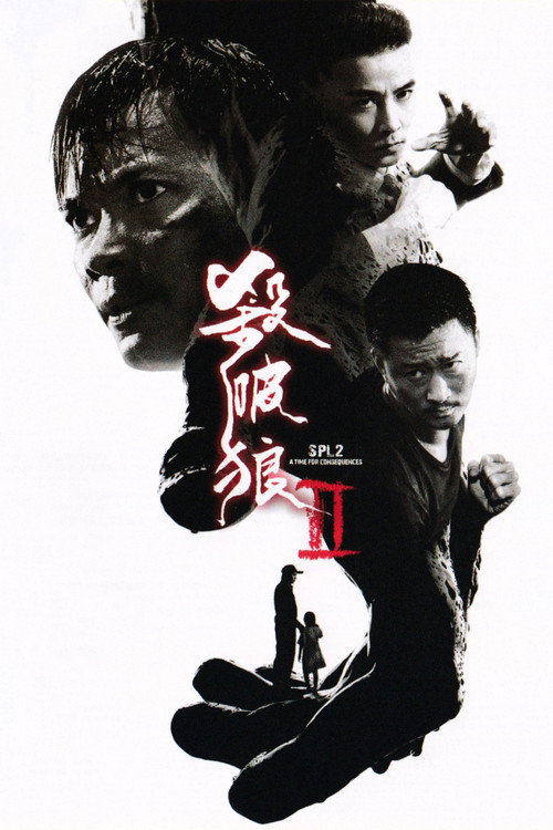 杀破狼2 高清海报