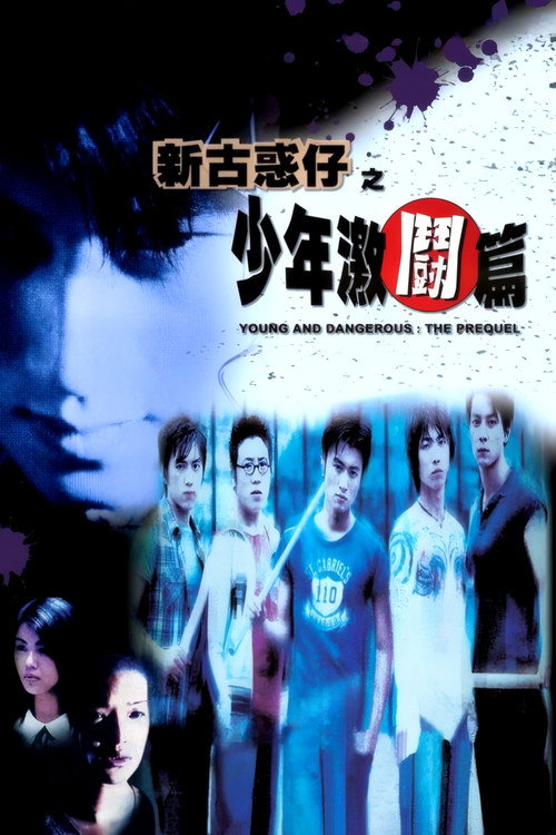新古惑仔之少年激斗篇 高清海报