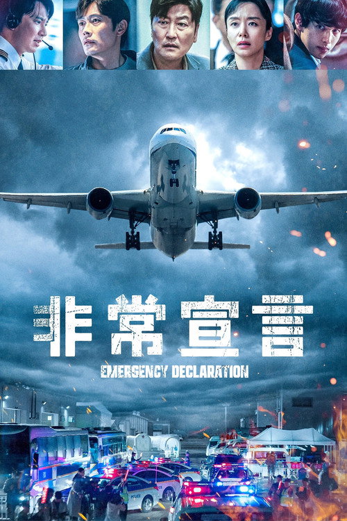 紧急迫降 高清海报