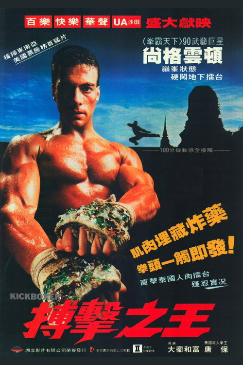 搏击之王 高清海报