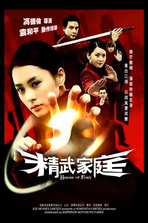 精武家庭 高清海报