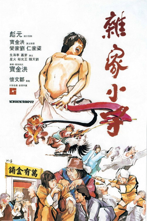 杂家小子 高清海报