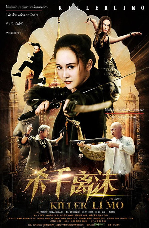 杀手离沫 高清海报